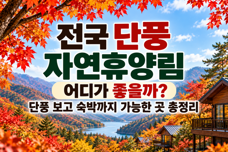 전국 단풍 자연휴양림 어디가 좋을까?｜단풍 보고 숙박까지 가능한 곳 총정리