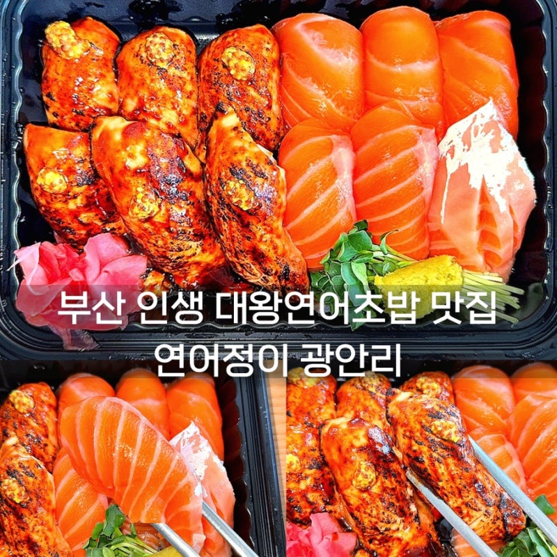 [부산 광안맛집] 연어정이 광안리 :: 당일손질 인생 대왕연어초밥 전문, 광안리 포장 맛집, 광....