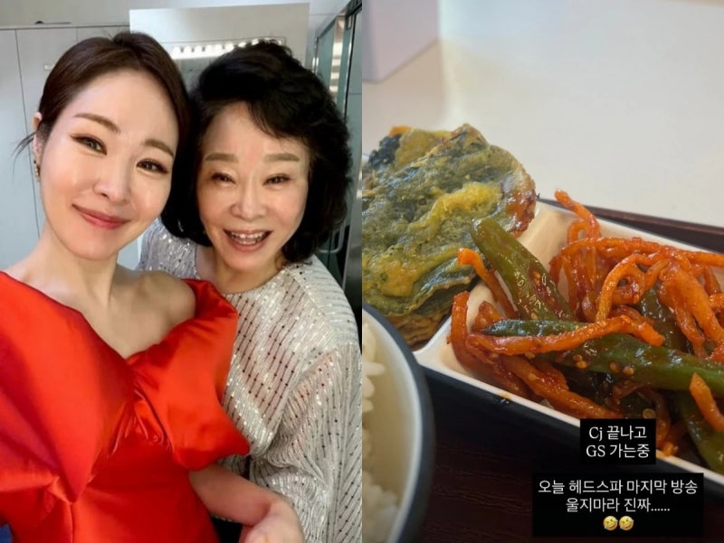 미자 연봉 재산 결혼 남편 나이, 홈쇼핑 마지막 방송 눈물까지 정리