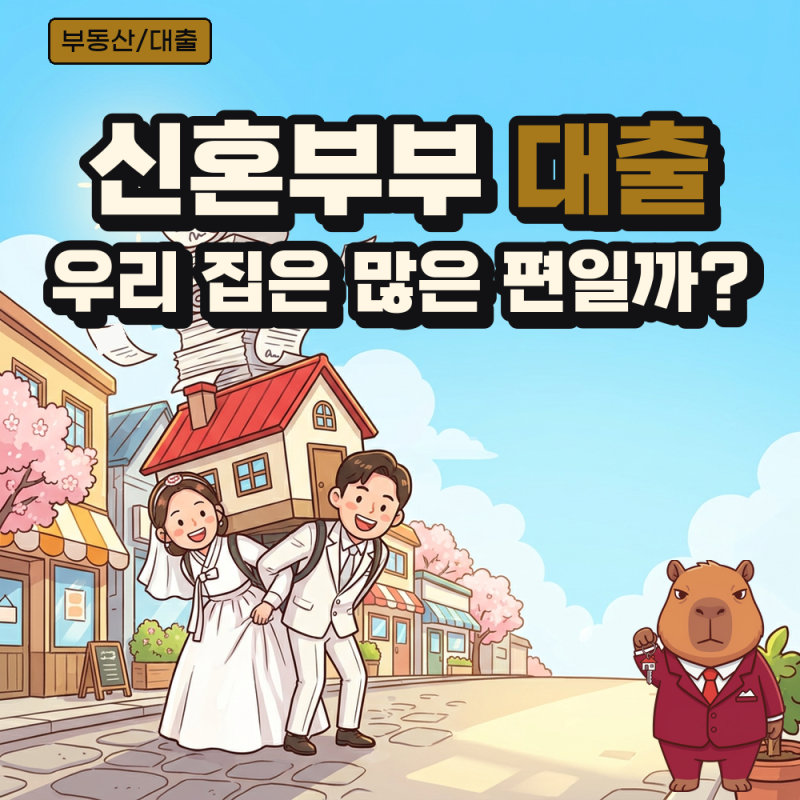 신혼부부 대출잔액 중앙값 1억 7900만 원, 연소득의 2.65배로 늘었다