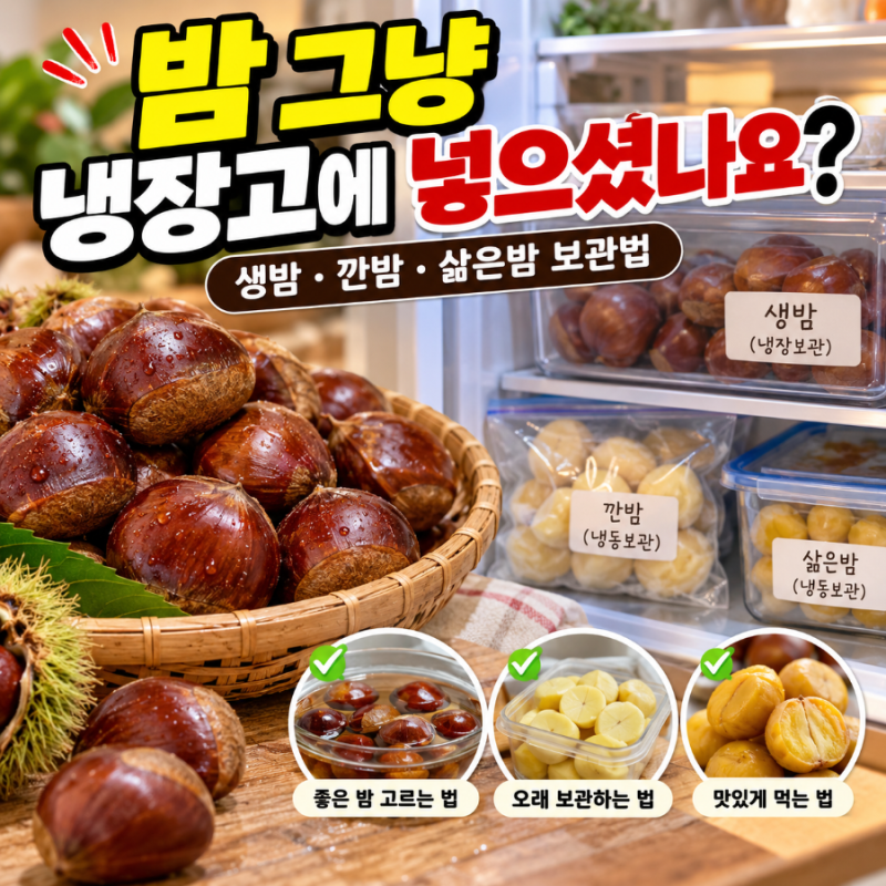 밤 보관법 생밤 냉장 냉동 오래 보관하는 법 깐밤 삶은밤까지