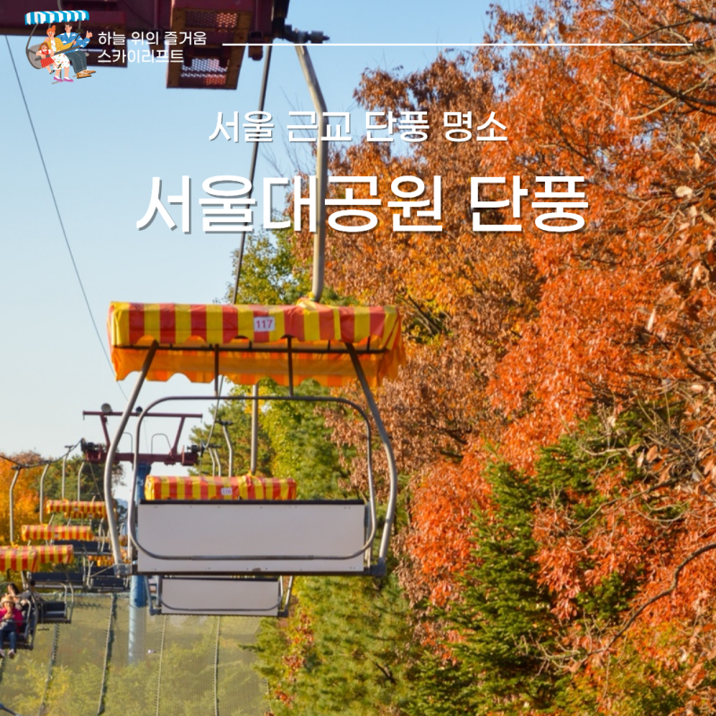 서울 근교 단풍 명소 가을에 가기 좋은 서울대공원