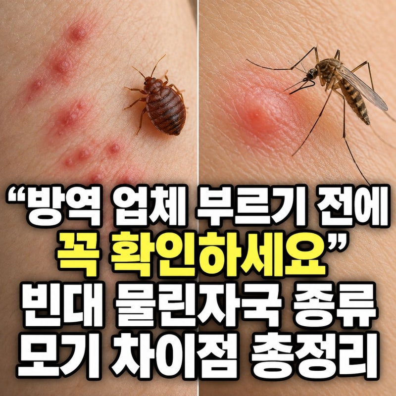 "방역 업체 부르기 전에 꼭 확인하세요" 빈대 물린자국 종류 모기 차이점 총정리