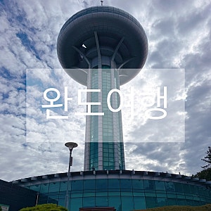 전남광주 완도 여행 완도타워 전망대 달스윗카페 전복빵