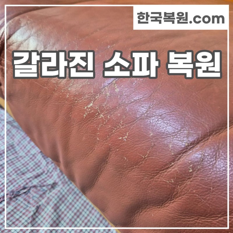 가죽 소파 갈라짐 버리지 마세요! 가죽 소파 복원 수리 비용 아끼는 방법