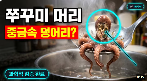 쭈꾸미 머리 먹으면 안 된다? 측정 자료로 완벽 정리해 드립니다.
