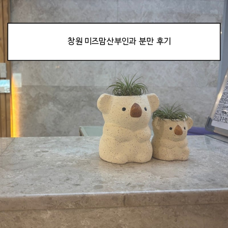 창원 미즈맘산부인과 응급 제왕절개 분만 후기 (양수 터짐, 진통 후 긴급수술)