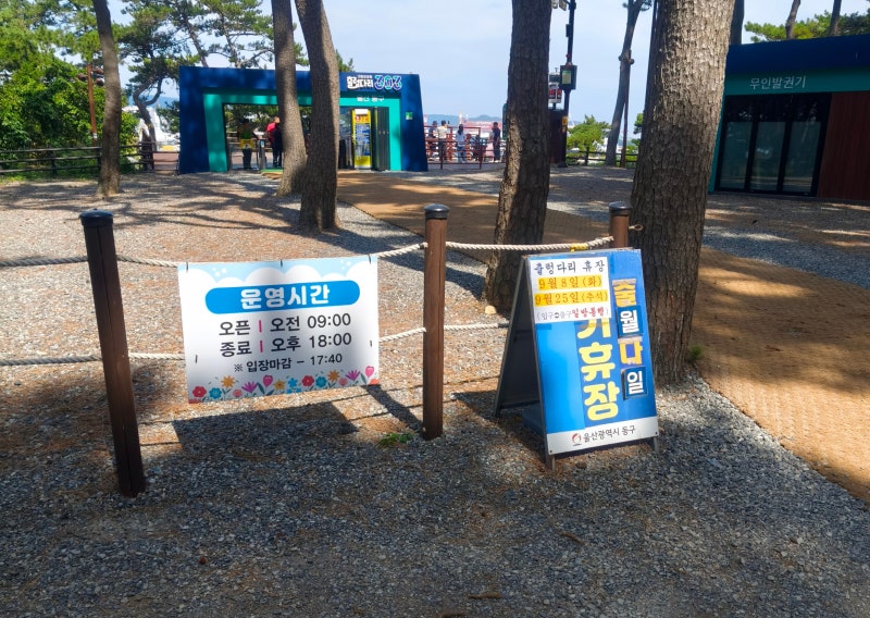 [울산 동구] [대왕암공원] [아이랑 가기 좋은 곳] – 꽃무릇과 용놀이터, 출렁다리가 있는 가....
