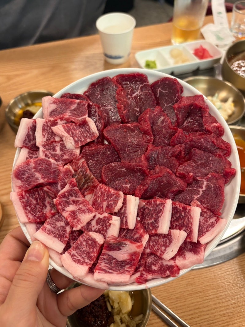 대구 종로 뭉티기 맛집 현지인 추천 동성로 술집 : 녹향뭉티기