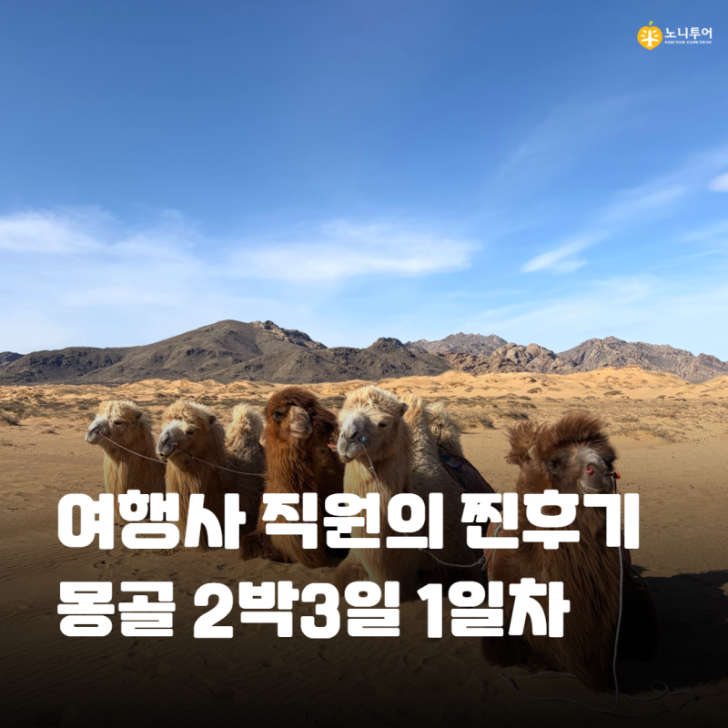 [여행사 직원이 직접 다녀와봄] 연차없이 떠나는 몽골 2박3일 1탄ㅣ1일차 미니사막ㅣ몽골여행....
