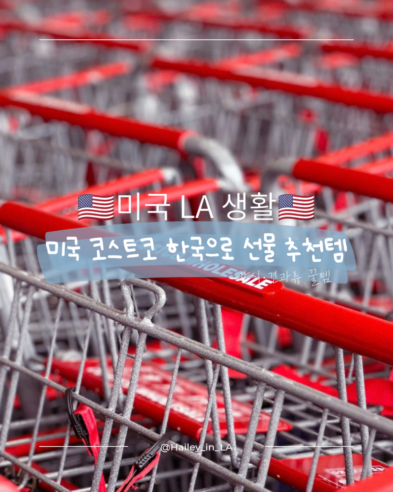 미국 코스트코 한국 갈 때 사가는 선물 추천템 | 간식·견과류 꿀템 정리표