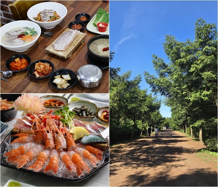 Restaurants Near Bijarim Forest: Must-Visit Spots in Eastern Jeju