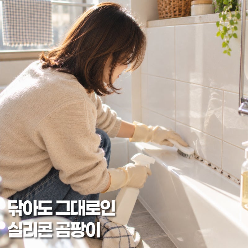 화장실 실리콘 곰팡이 제거, 닦아도 검은 자국이 안 없어질 때