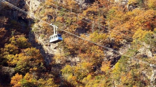 설악산 단풍 케이블카 요금·주차·대기시간, 가기 전에 이것부터 확인하세요