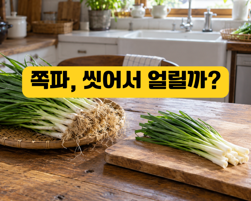 쪽파 냉동보관, 씻어서 얼려야 할까? 손질부터 활용법까지