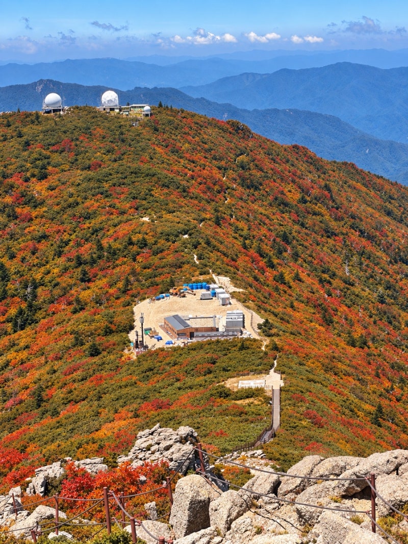 설악산 대청봉 등산코스, 단풍 산행 추천 오색 출발 천불동계곡 하산 9시간 등산 후기