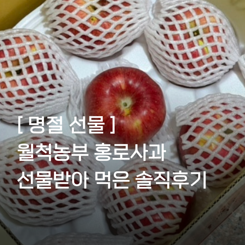 월척농부 홍로사과 4kg 명절선물로 받아 먹어본 솔직후기