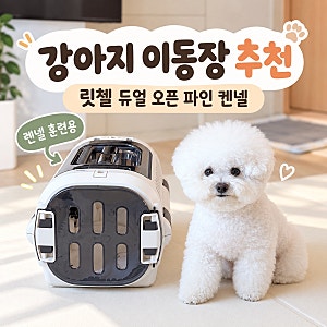 강아지 이동장 릿첼 듀얼 오픈 파인 켄넬 훈련용으로 선택한 이유