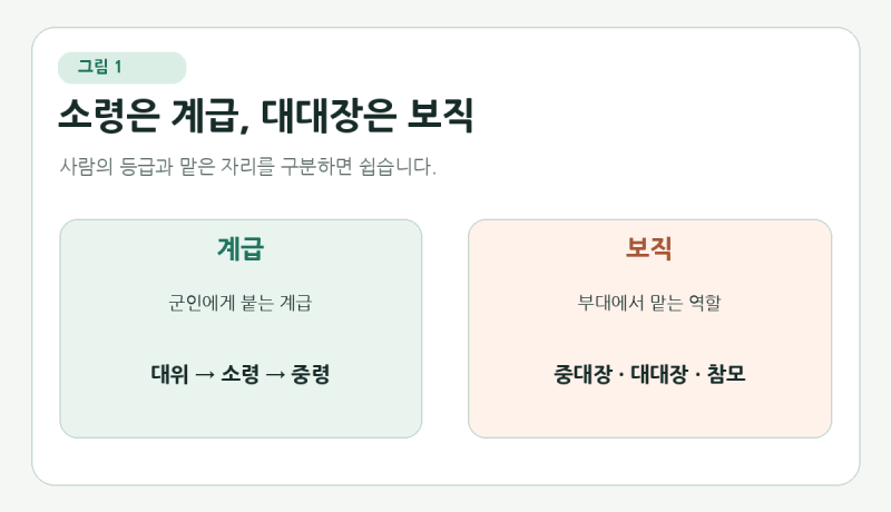 소령은 대대장일까? 중대장·대대장 차이, 군대 계급과 보직 쉽게 정리