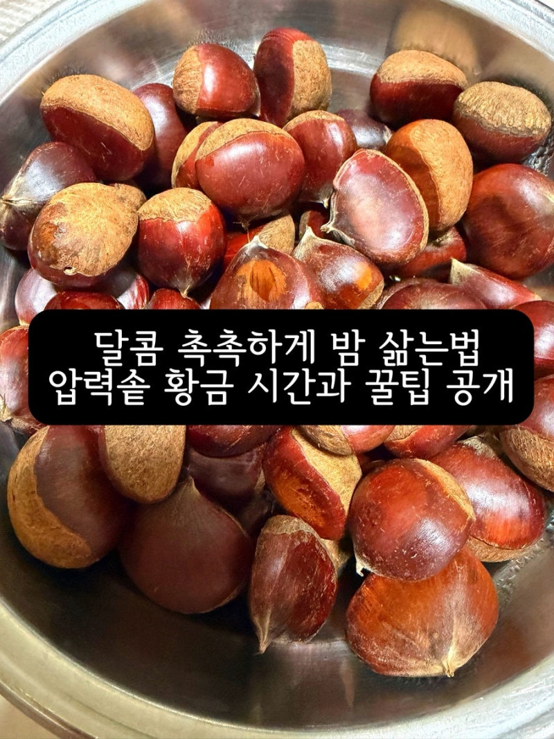 달콤 촉촉하게 밤 삶는법, 압력솥 황금 시간과 꿀팁 공개