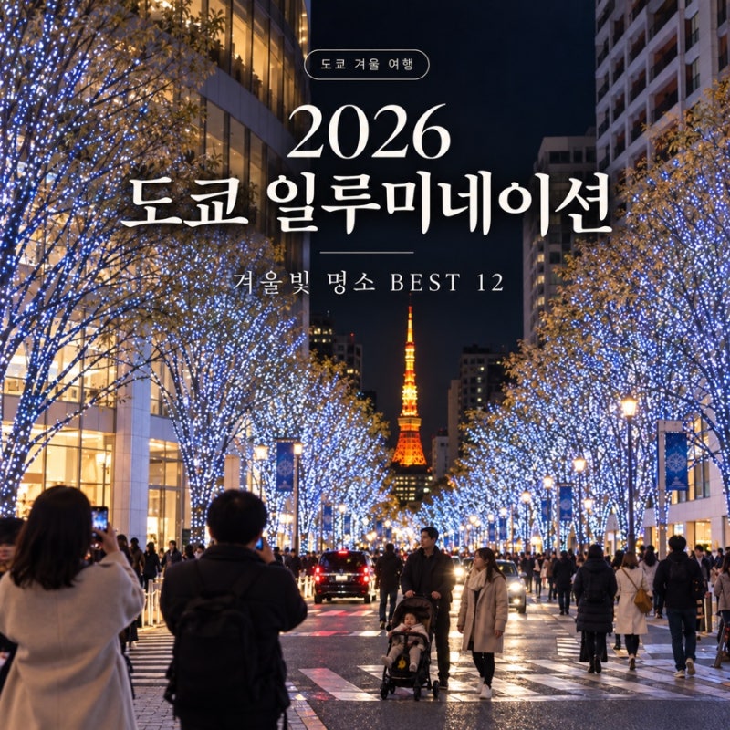 2026 도쿄 일루미네이션 BEST 12 l 11월·12월 겨울 야경 명소 총정리