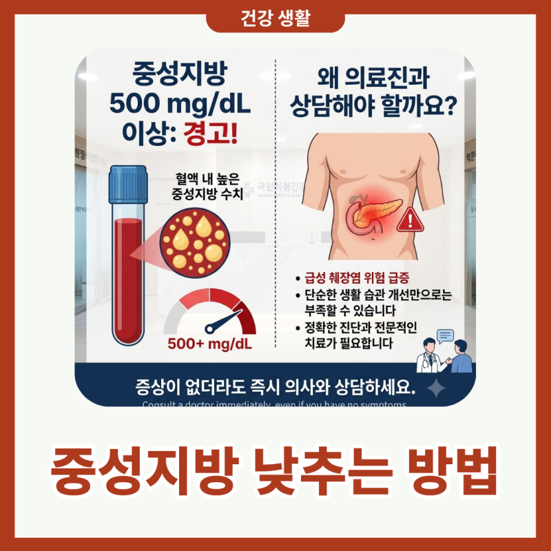 중성지방 낮추는 방법 식단과 운동으로 관리하는 생활습관 팁
