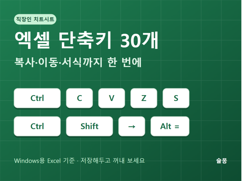 엑셀 단축키 30개 모음 (이미지 저장용) | 직장인 엑셀 치트시트 #1