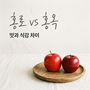 "빨갛다고 다 같은 사과 아니에요".. 홍로홍옥사과차이 3초 만에 구분하는 법