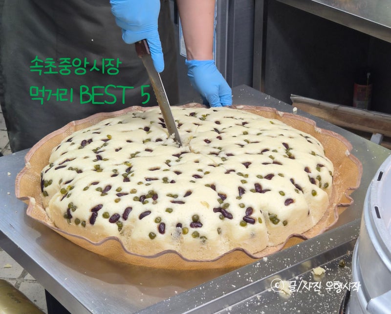 속초중앙시장 먹거리 BEST 5｜속초관광수산시장 주차꿀팁