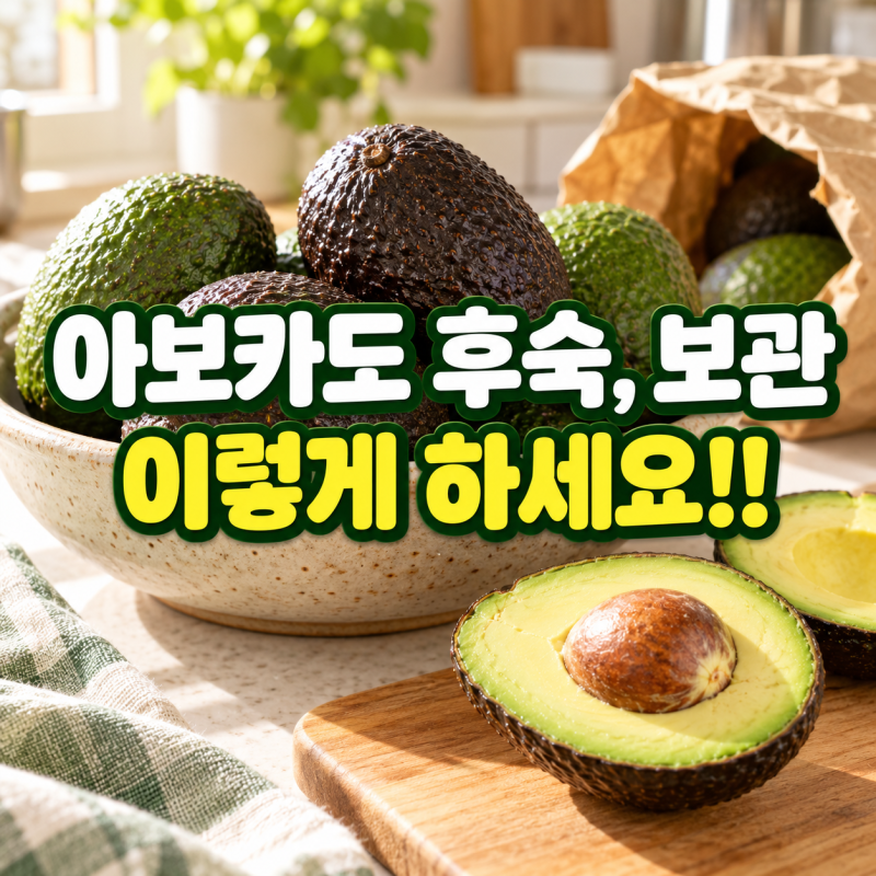 아보카도 후숙 제대로 하는 법, 오래 보관하려면? 효능까지