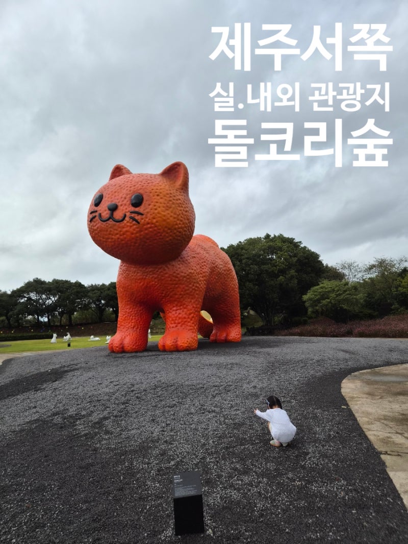 제주도 비올때 가볼만한곳 실내외 공간 다 예쁜 제주서쪽 관광지 돌코리숲