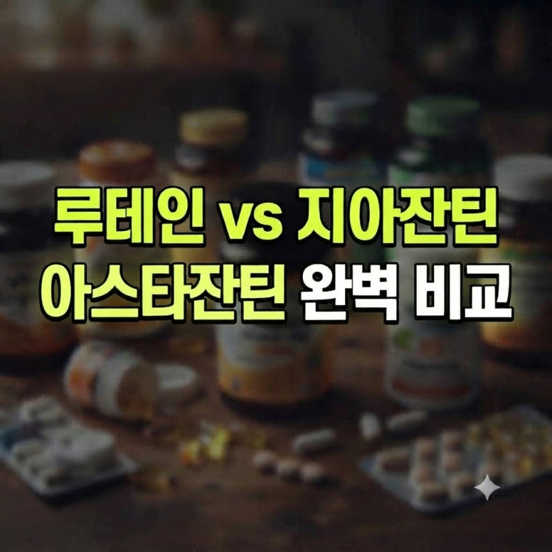 '루테인 vs 지아잔틴 vs 아스타잔틴 성분 차이와 눈 건강 영양제 선택 기준