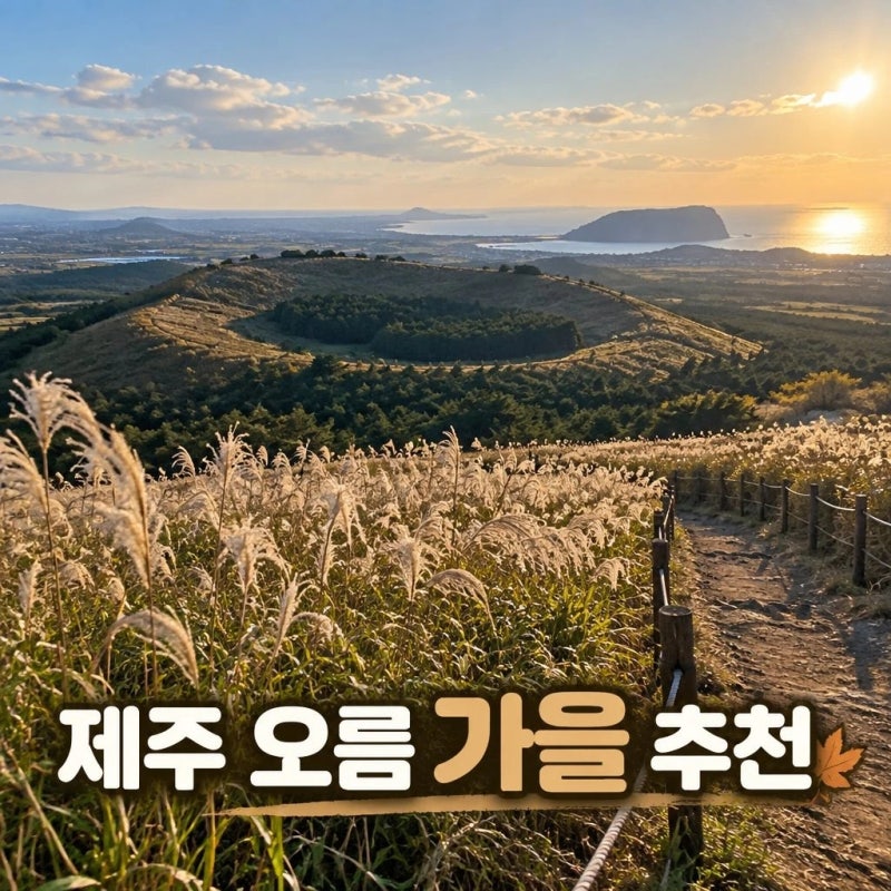 2026 Autumn Jeju Oreum Recommendations by Difficulty