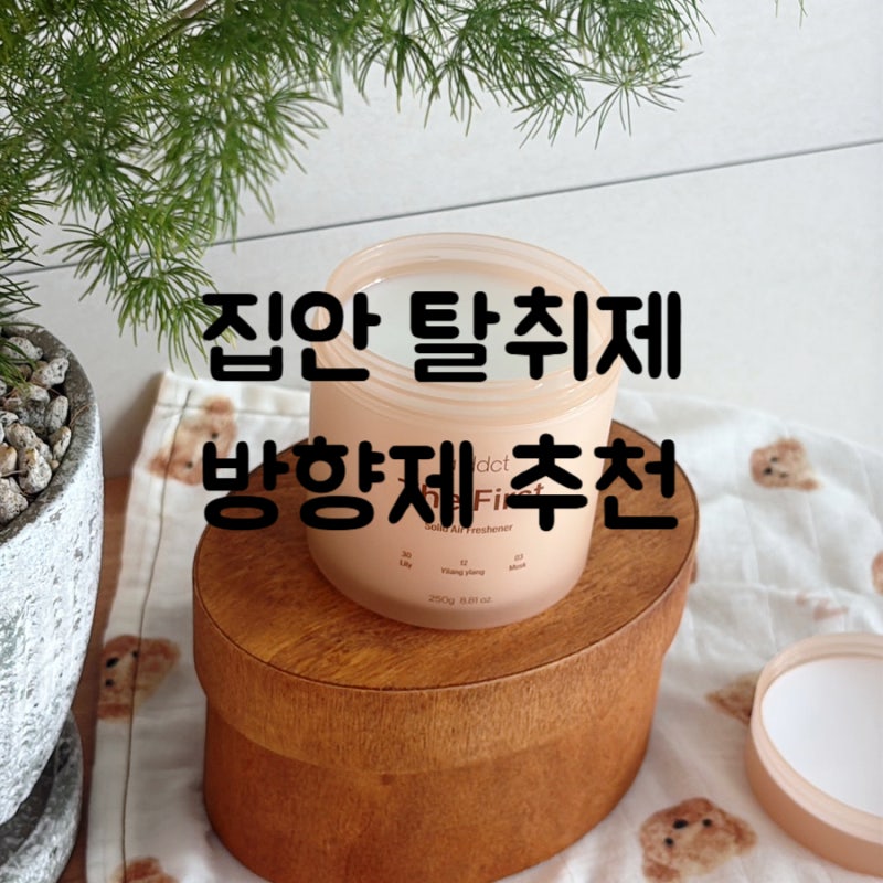 욕실 찌른내, 신발장 냄새, 집안 향기 잡아주는 에이딕트 탈취제 방향제 추천