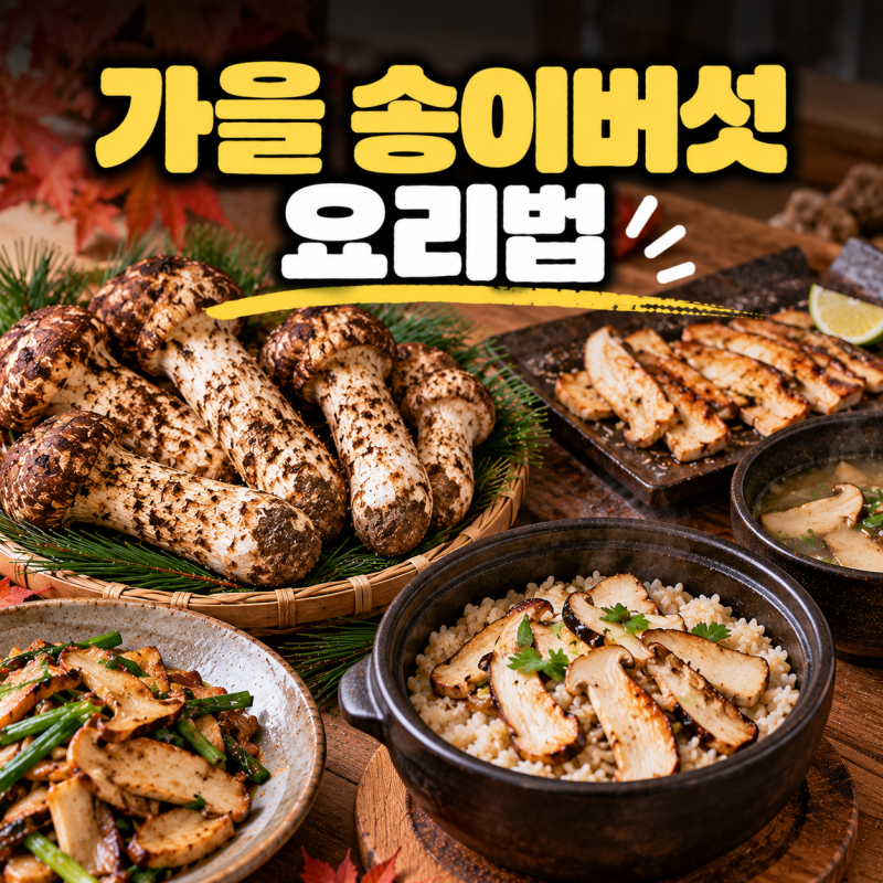 가을 송이버섯 요리법, 향 살려 맛있게 먹는 방법 총정리