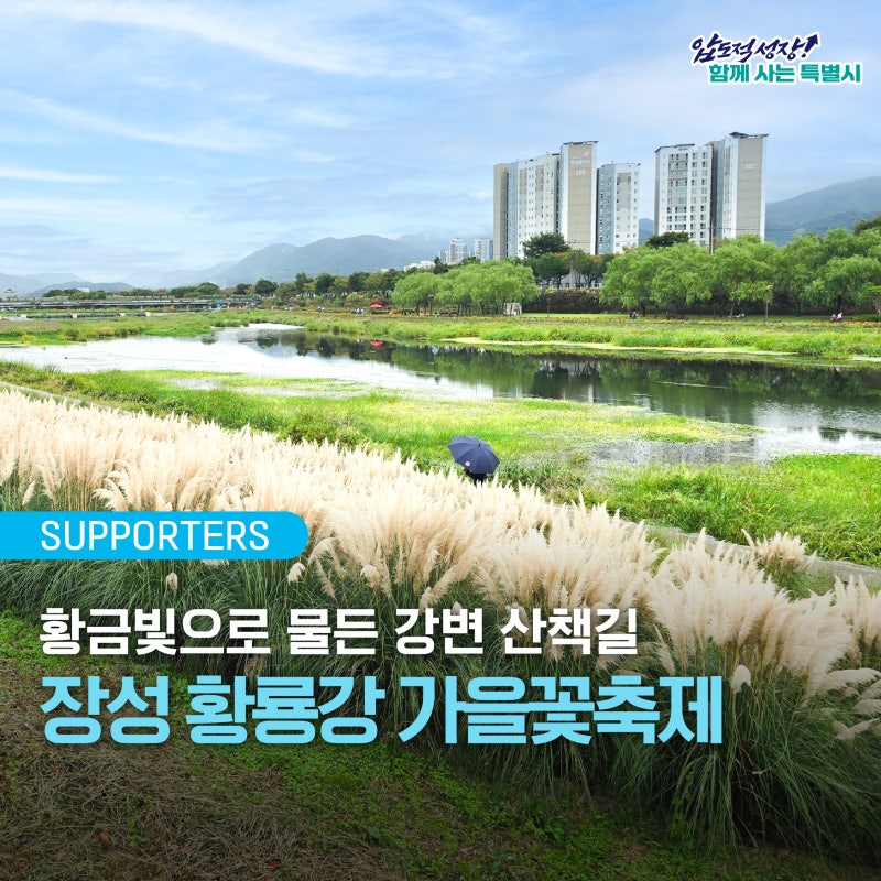 [서포터즈] 황금 빛으로 물든 강변 산책길, 장성 황룡강 가을꽃축제
