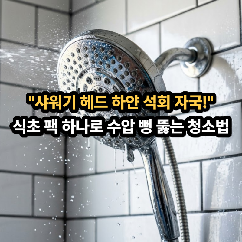 샤워기 헤드 물때 석회 제거 식초 팩 하나로 수압 살리는 청소법