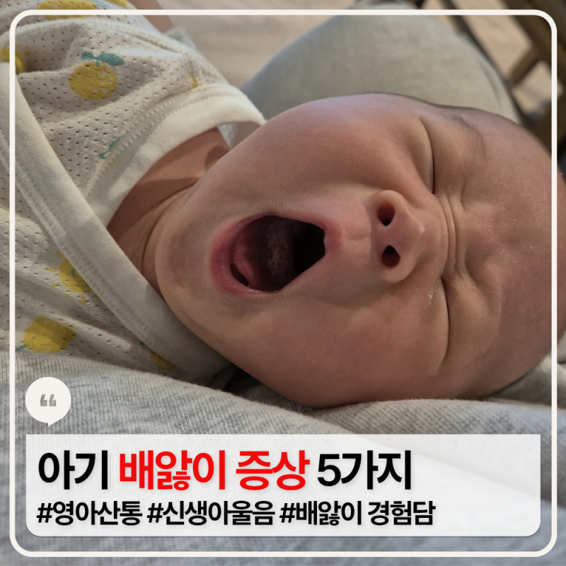 아기 배앓이 증상 5가지, 생후 1개월 낮잠 없이 자지러지게 울던 아기 경험담