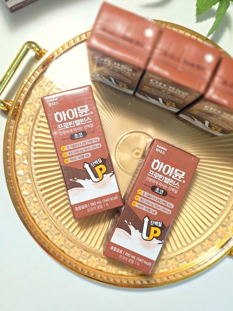 하이뮨 프로틴 밸런스 음료 초코 프로틴음료, 맛있는 식사대용 음료 후기