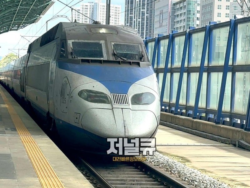 2026 대한민국 숙박페스타 대전 여행, 빵시투어와 빵축제 즐기기