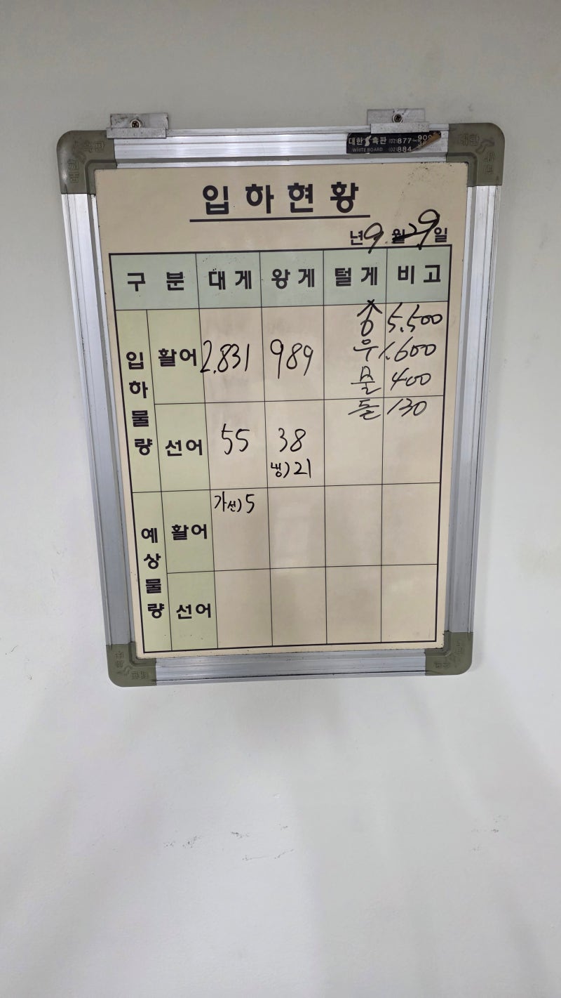 노량진수산시장 대게 가격 경매장 회크닉 준비