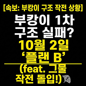 부산 북항 상어 부캉이 구조 실패? 12일 차 외해 유도 작전 현장 총정리