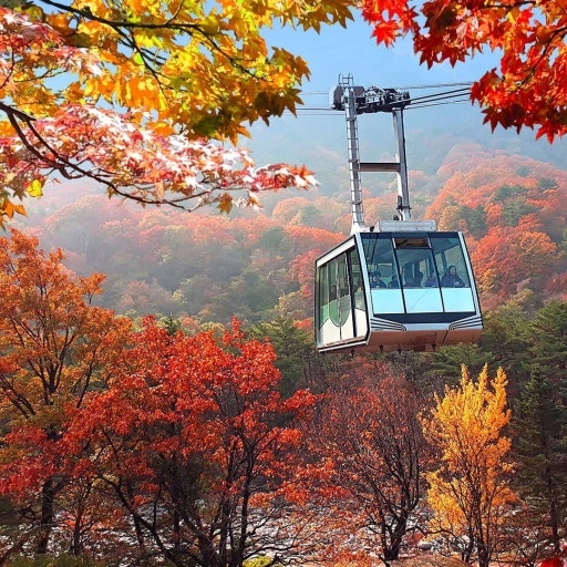 강원도 속초 설악산 가을 단풍 시기, 10월 단풍 명소와 등산코스 추천