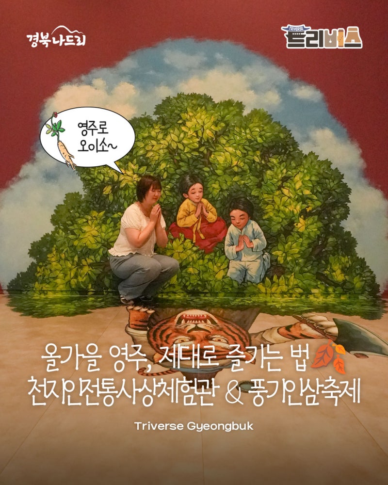 영주 가볼만한곳｜2026 풍기인삼축제부터 천지인전통사상체험관까지