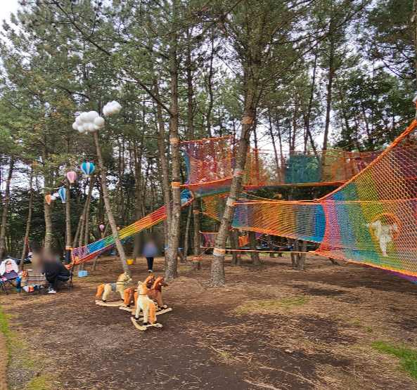 7 Places to Visit in Jeju with Kids in October: Playgrounds, Pampas Grass, and Tangerine Picking