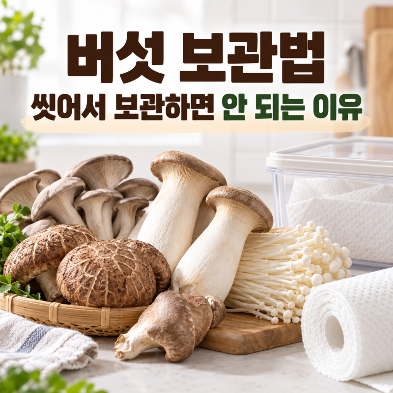 버섯 보관법 씻어서 보관하면 안 되는 이유