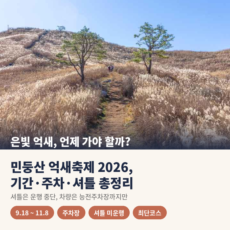민둥산 억새축제 2026 기간과 주차장, 셔틀버스는 운행할까?