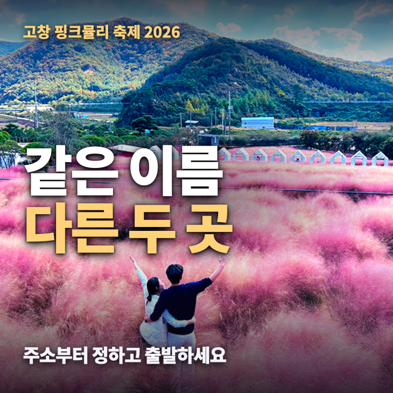 고창 핑크뮬리 축제 위치는 두 곳 — 입장료 6,000원·기간·애견동반·주차·개화