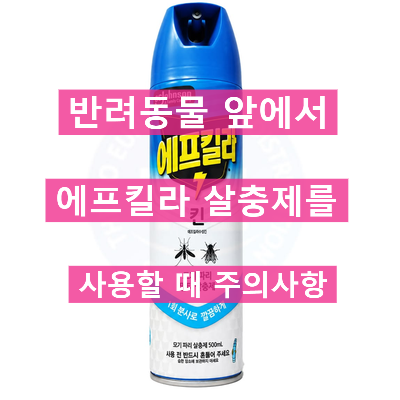 반려동물 앞에서 에프킬라 같은 살충제 사용할 때 주의사항