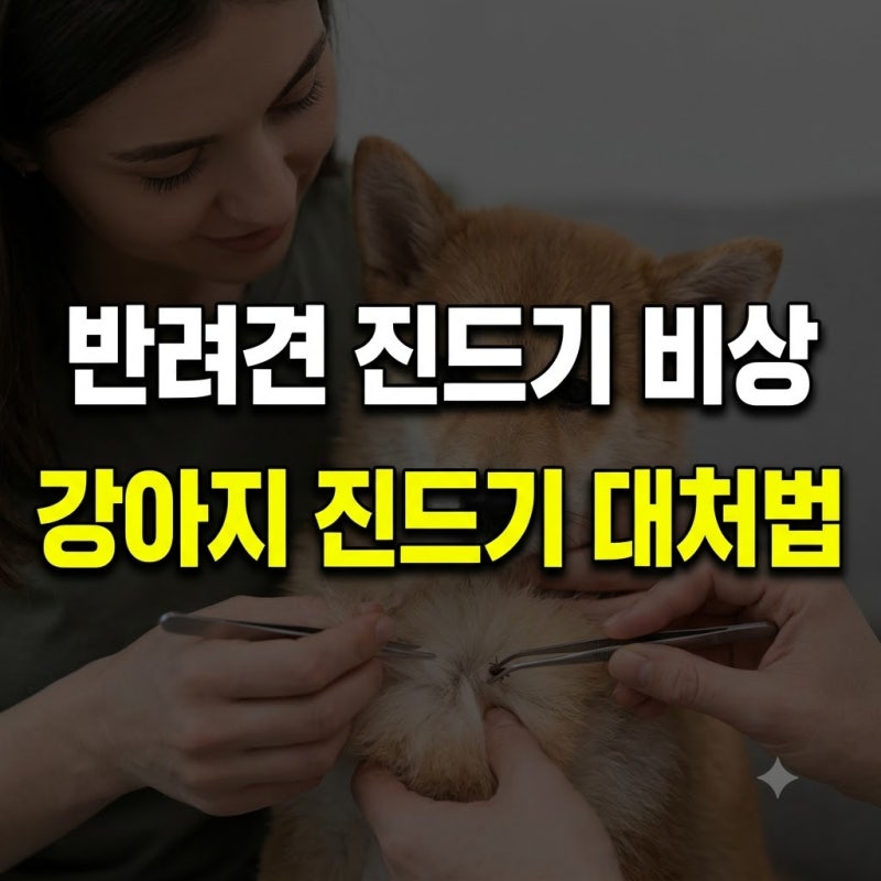 강아지 진드기 물렸을때 증상 약 자국 치료 총정리(+대처 넥스가드 바르는 약 약국 연고 후시....